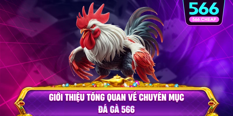 Giới thiệu tổng quan về đá gà 566
